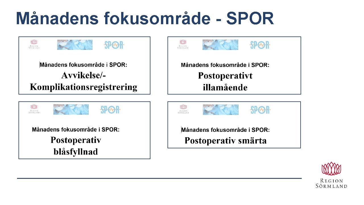 Månadens fokusområde - SPOR 