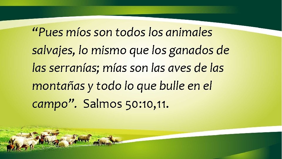 “Pues míos son todos los animales salvajes, lo mismo que los ganados de las “Pues míos son todos los animales salvajes, lo mismo que los ganados de las