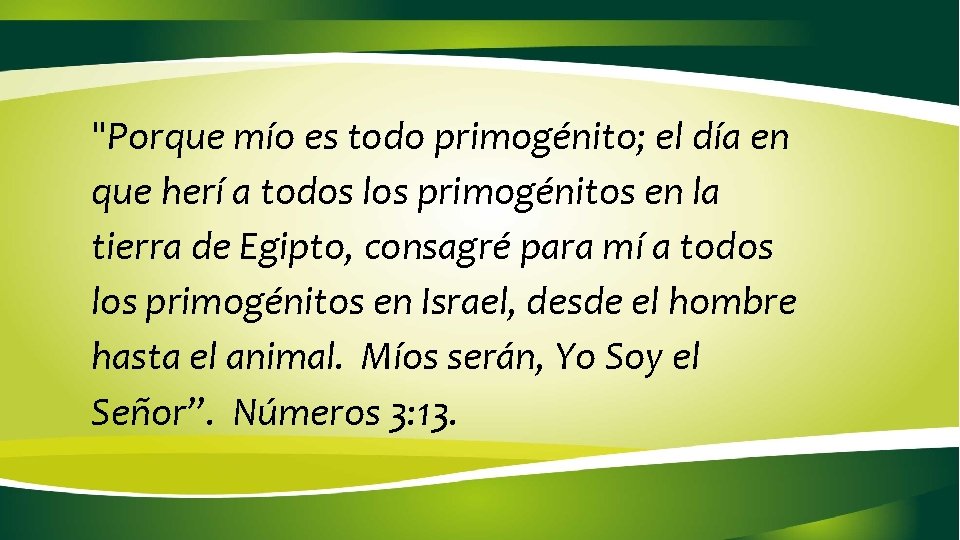 "Porque mío es todo primogénito; el día en que herí a todos los primogénitos "Porque mío es todo primogénito; el día en que herí a todos los primogénitos