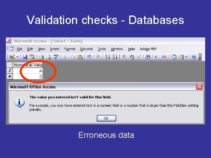 Validation checks - Databases Erroneous data 