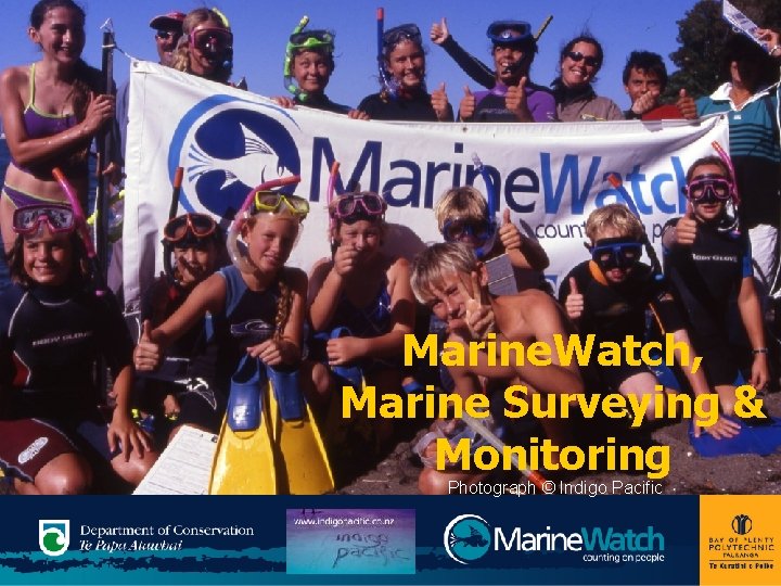 Marine. Watch, Marine Surveying & Monitoring Photograph © Indigo Pacific Marine. Watch, Marine Surveying & Monitoring Photograph © Indigo Pacific