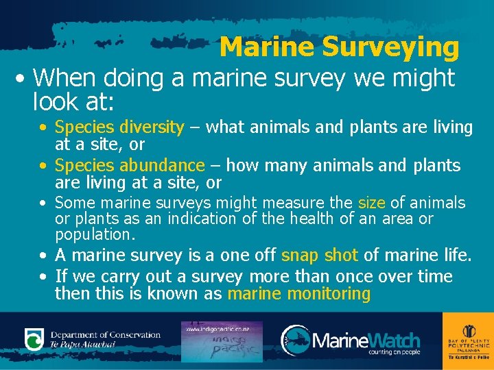 Marine Surveying • When doing a marine survey we might look at: • Species Marine Surveying • When doing a marine survey we might look at: • Species