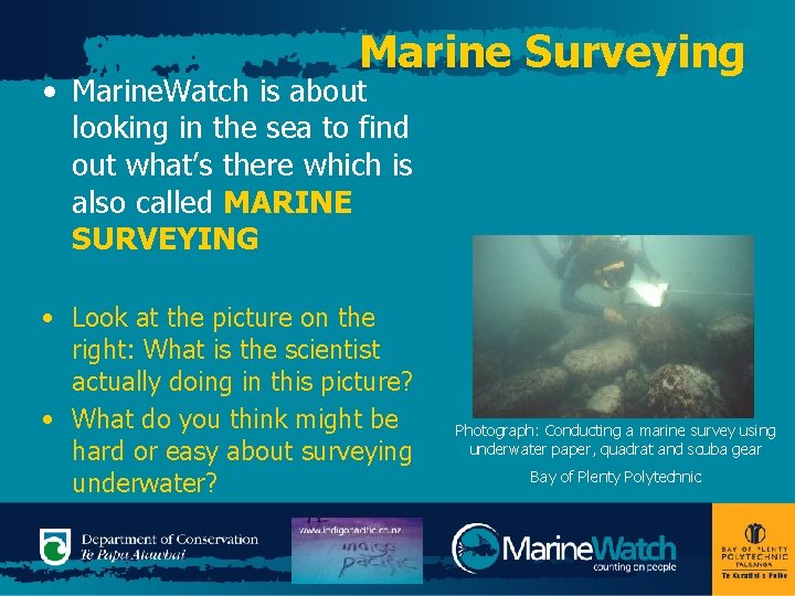 Marine Surveying • Marine. Watch is about looking in the sea to find out