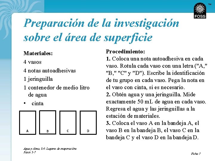 TM Preparación de la investigación sobre el área de superficie Materiales: 4 vasos 4