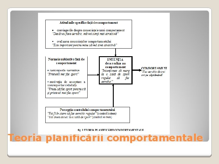 Teoria planificării comportamentale 