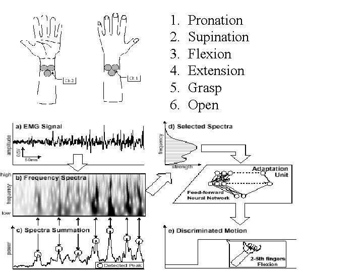 1. 2. 3. 4. 5. 6. Pronation Supination Flexion Extension Grasp Open 1. 2. 3. 4. 5. 6. Pronation Supination Flexion Extension Grasp Open