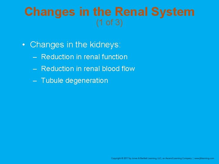 Changes in the Renal System (1 of 3) • Changes in the kidneys: –