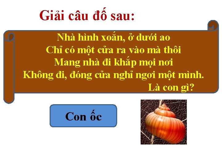 Giải câu đố sau: Nhà hình xoắn, ở dưới ao Chỉ có một cửa