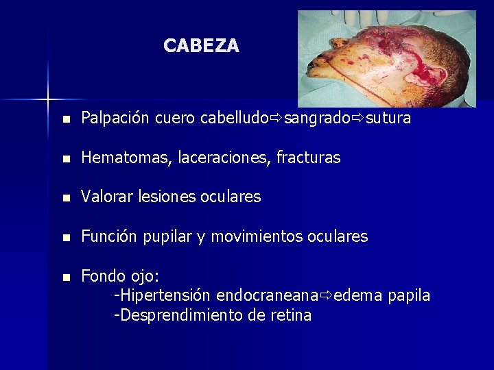 CABEZA n Palpación cuero cabelludo sangrado sutura n Hematomas, laceraciones, fracturas n Valorar lesiones