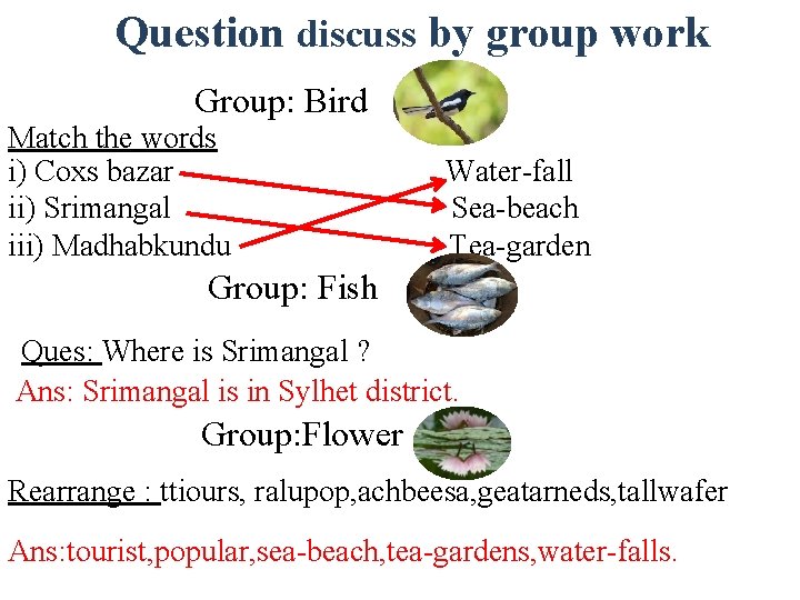 Question discuss by group work Group: Bird Match the words i) Coxs bazar ii)