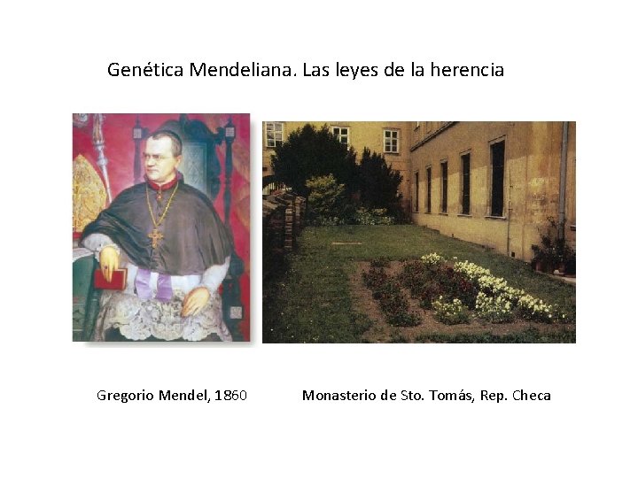 Genética Mendeliana. Las leyes de la herencia Gregorio Mendel, 1860 Monasterio de Sto. Tomás,