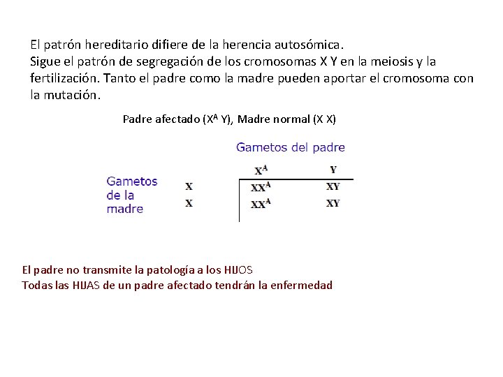 El patrón hereditario difiere de la herencia autosómica. Sigue el patrón de segregación de