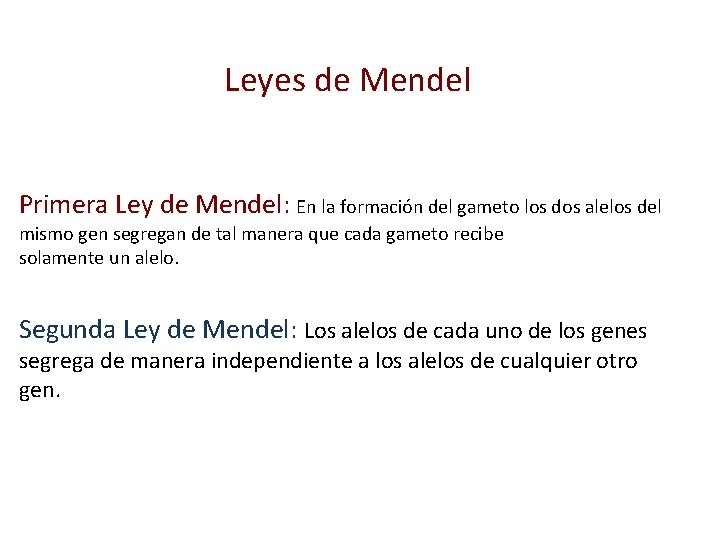 Leyes de Mendel Primera Ley de Mendel: En la formación del gameto los dos