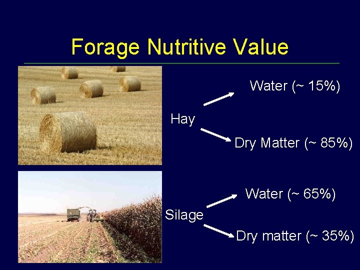 Forage Nutritive Value Water (~ 15%) Hay Dry Matter (~ 85%) Water (~ 65%)