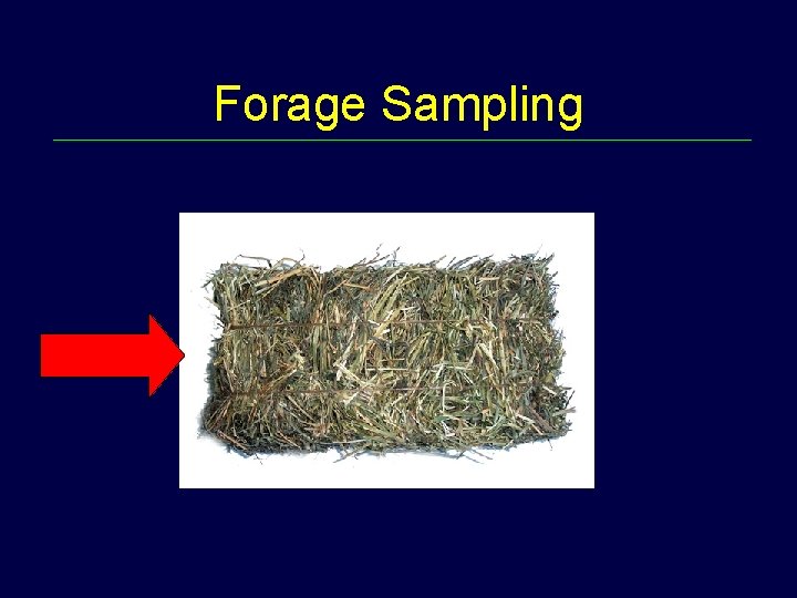 Forage Sampling 