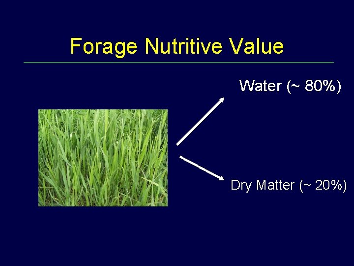 Forage Nutritive Value Water (~ 80%) Dry Matter (~ 20%) 