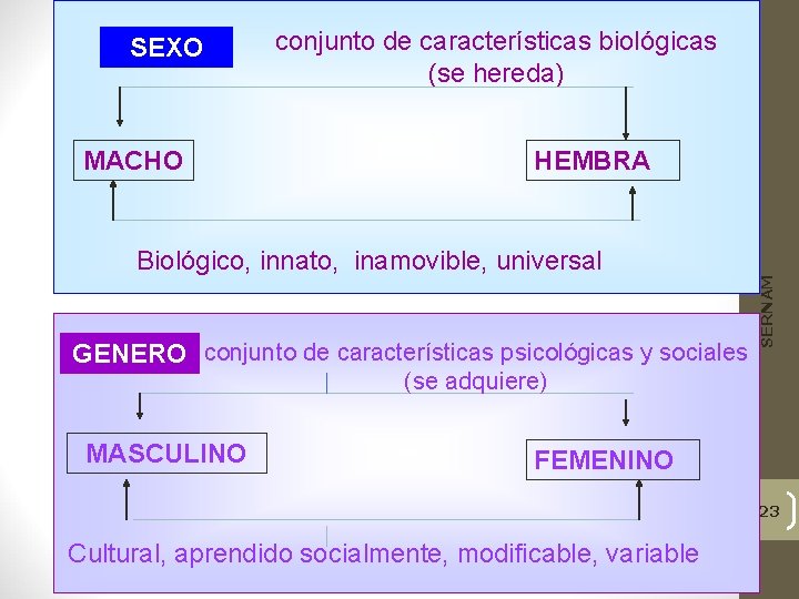 MACHO conjunto de características biológicas (se hereda) HEMBRA Biológico, innato, inamovible, universal GENERO conjunto