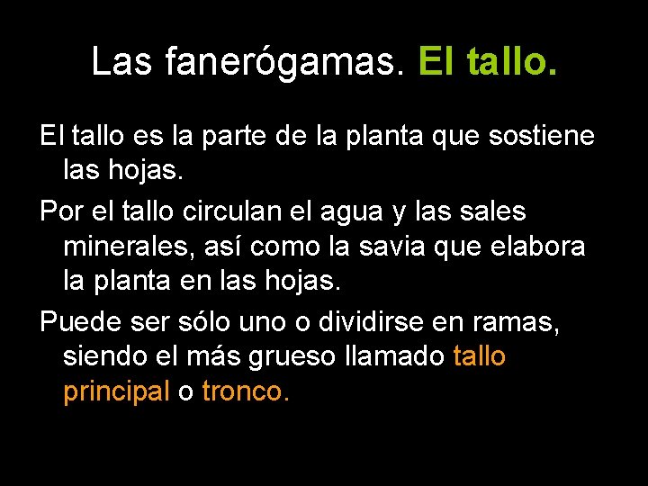 Las fanerógamas. El tallo es la parte de la planta que sostiene las hojas.