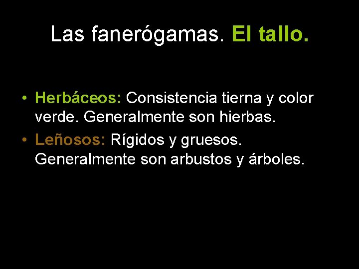 Las fanerógamas. El tallo. Los tallos pueden ser: • Herbáceos: Consistencia tierna y color