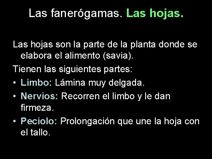Las fanerógamas. Las hojas son la parte de la planta donde se elabora el