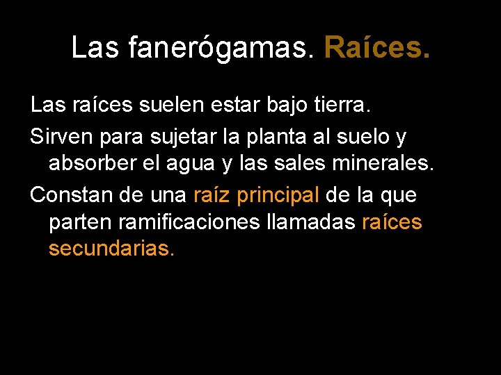 Las fanerógamas. Raíces. Las raíces suelen estar bajo tierra. Sirven para sujetar la planta