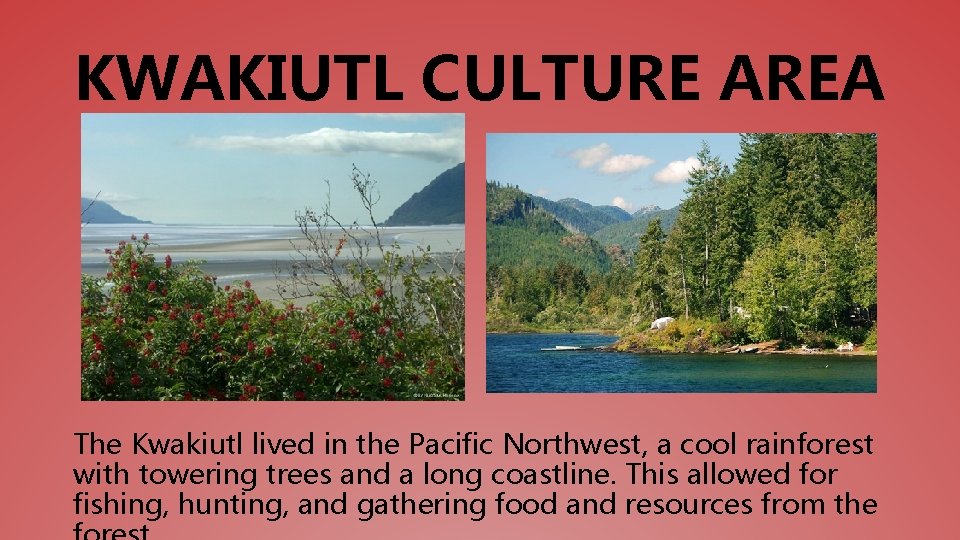 KWAKIUTL CULTURE AREA The Kwakiutl lived in the Pacific Northwest, a cool rainforest with