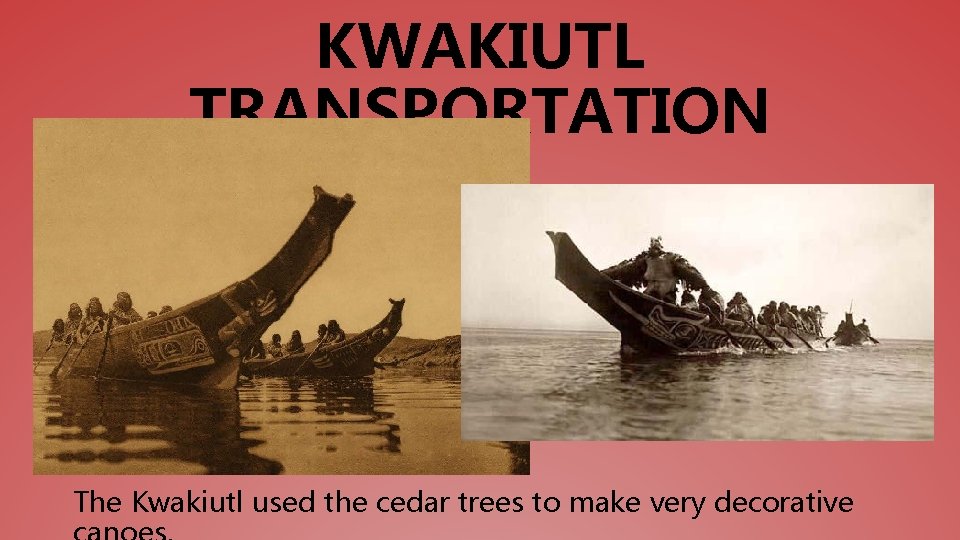 KWAKIUTL TRANSPORTATION The Kwakiutl used the cedar trees to make very decorative 
