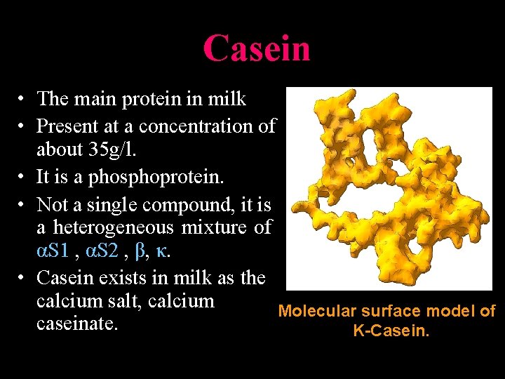 Casein • The main protein in milk • Present at a concentration of about