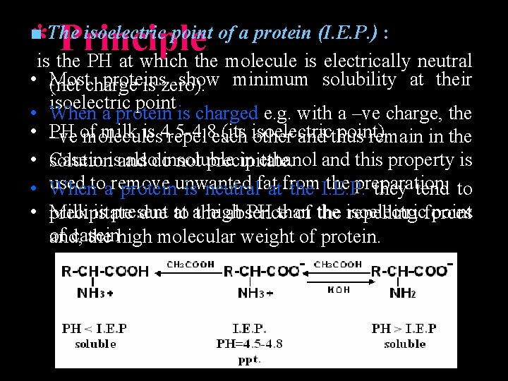 * Principle ■ The isoelectric point of a protein (I. E. P. ) :