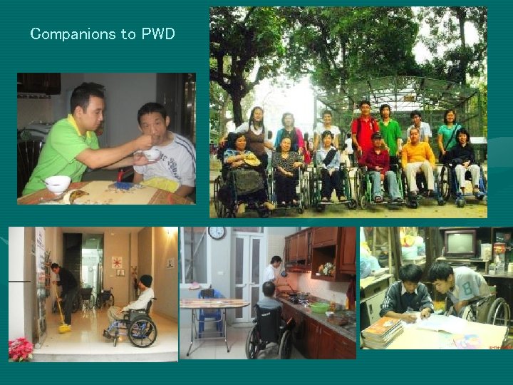 Companions to PWD 