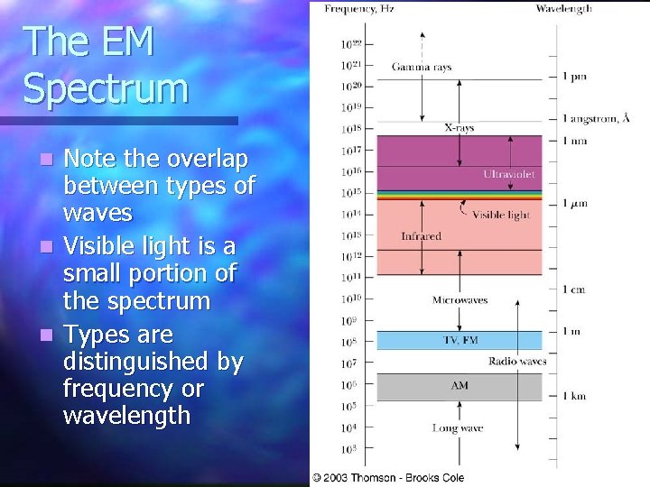 The EM Spectrum Note the overlap between types of waves n Visible light is