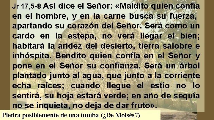 Jr 17, 5 -8 Así dice el Señor: «Maldito quien confía en el hombre, Jr 17, 5 -8 Así dice el Señor: «Maldito quien confía en el hombre,