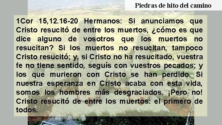 Piedras de hito del camino 1 Cor 15, 12. 16 -20 Hermanos: Si anunciamos Piedras de hito del camino 1 Cor 15, 12. 16 -20 Hermanos: Si anunciamos
