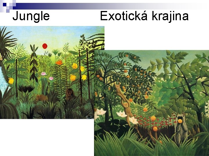 Jungle Exotická krajina 