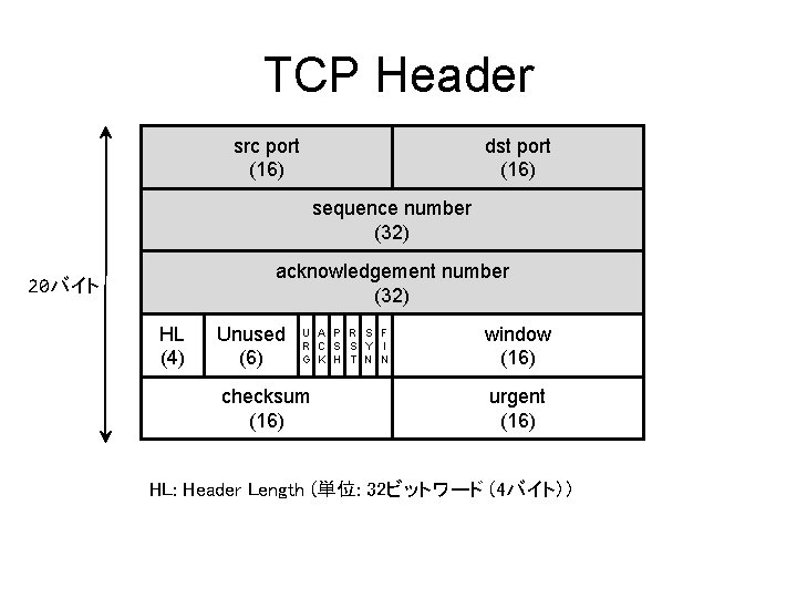 TCP Header src port (16) dst port (16) sequence number (32) acknowledgement number (32)