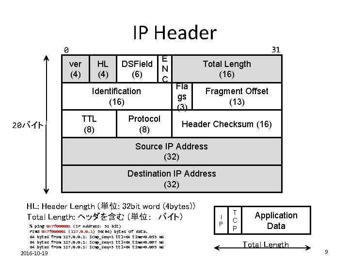 IP Header 0 ver (4) HL (4) DSField (6) E N C Identification (16)