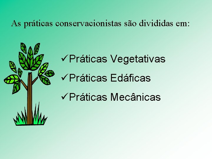 As práticas conservacionistas são divididas em: üPráticas Vegetativas üPráticas Edáficas üPráticas Mecânicas 