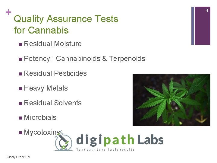 + 4 Quality Assurance Tests for Cannabis n Residual n Potency: n Residual n + 4 Quality Assurance Tests for Cannabis n Residual n Potency: n Residual n