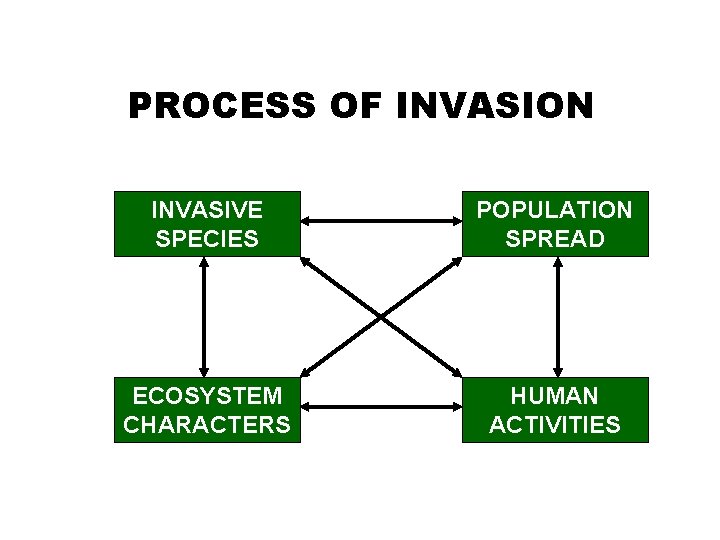 PROCESS OF INVASION INVASIVE SPECIES POPULATION SPREAD ECOSYSTEM CHARACTERS HUMAN ACTIVITIES 