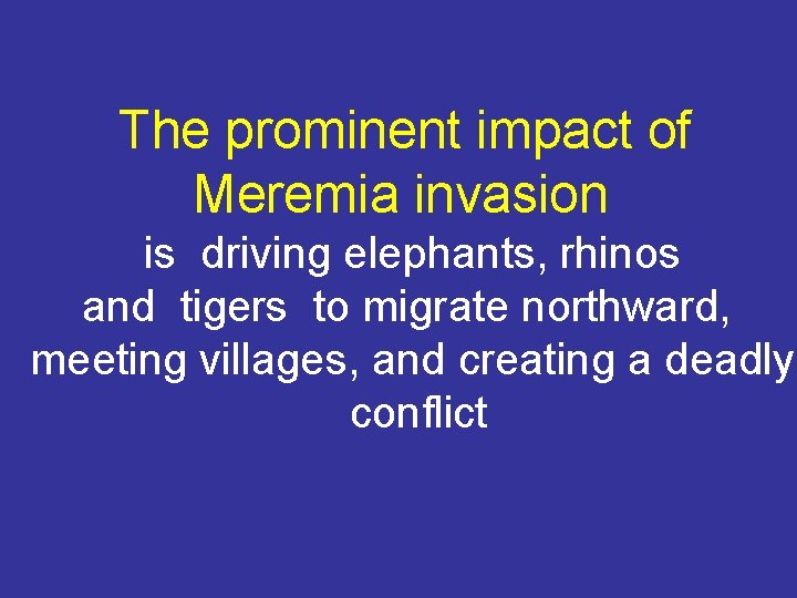 The prominent impact of Meremia invasion is driving elephants, rhinos and tigers to migrate