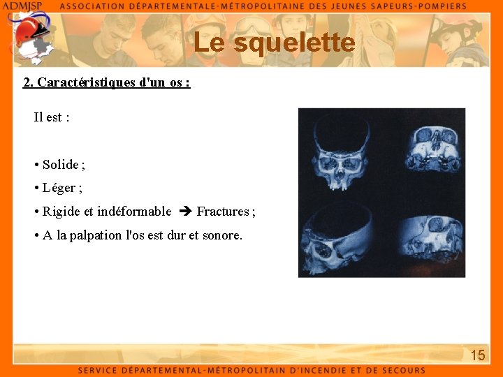 Le squelette 2. Caractéristiques d'un os : Il est : • Solide ; •