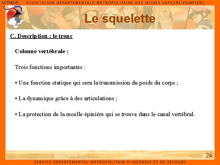 Le squelette C. Description : le tronc Colonne vertébrale : Trois fonctions importantes : Le squelette C. Description : le tronc Colonne vertébrale : Trois fonctions importantes :
