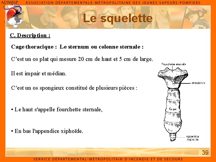 Le squelette C. Description : Cage thoracique : Le sternum ou colonne sternale :