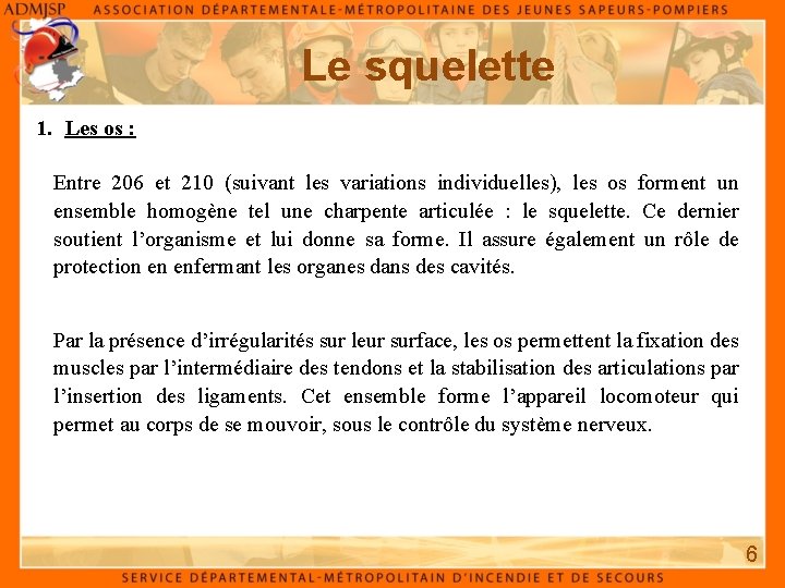 Le squelette 1. Les os : Entre 206 et 210 (suivant les variations individuelles),