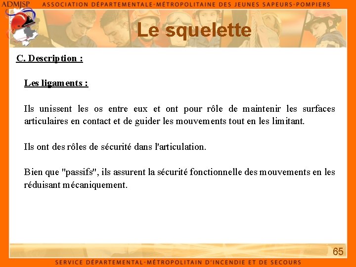 Le squelette C. Description : Les ligaments : Ils unissent les os entre eux