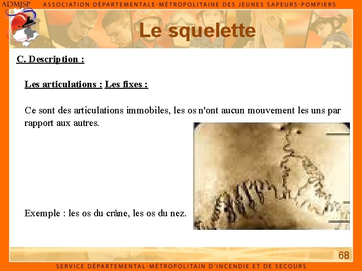 Le squelette C. Description : Les articulations : Les fixes : Ce sont des Le squelette C. Description : Les articulations : Les fixes : Ce sont des