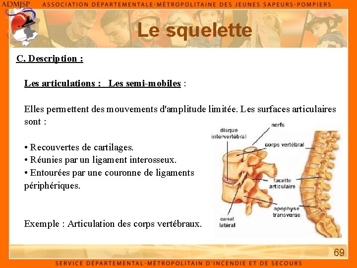 Le squelette C. Description : Les articulations : Les semi-mobiles : Elles permettent des