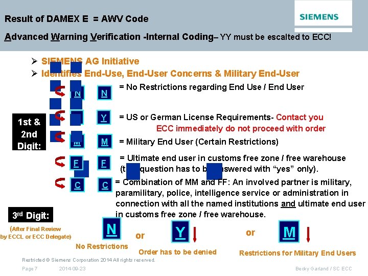 Result of DAMEX E = AWV Code Advanced Warning Verification -Internal Coding– YY must