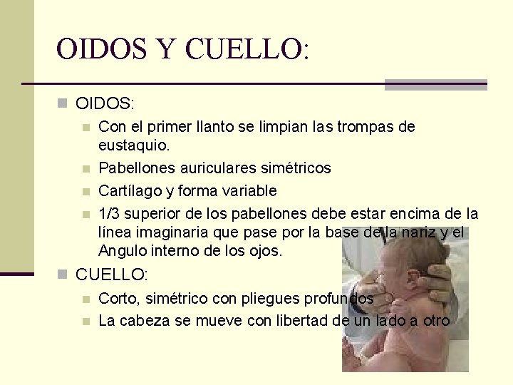 OIDOS Y CUELLO: n OIDOS: n Con el primer llanto se limpian las trompas