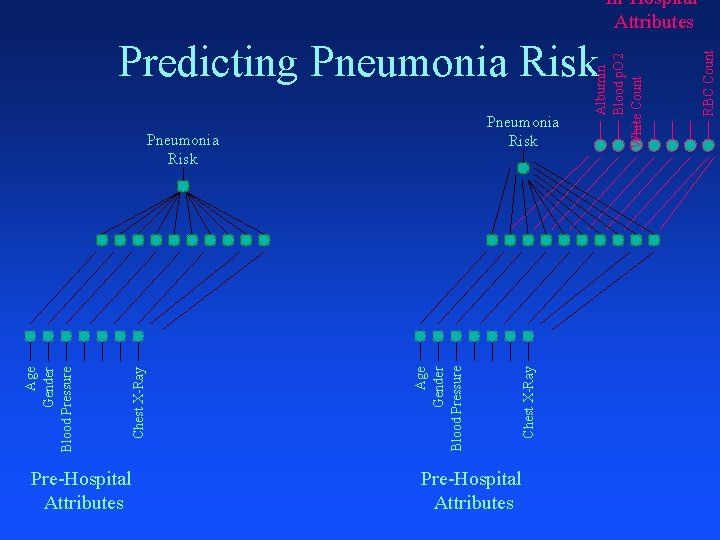 Pre-Hospital Attributes Age Gender Blood Pressure Chest X-Ray Age Gender Blood Pressure Pneumonia Risk